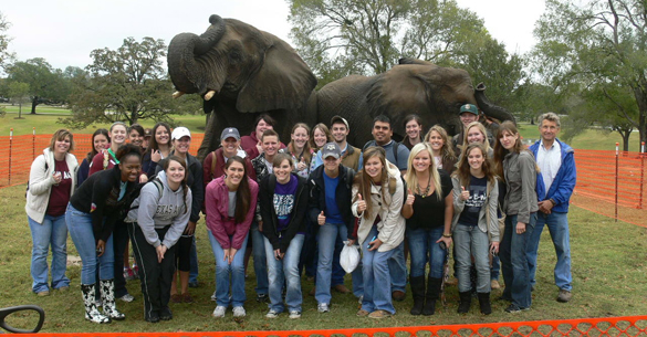 Dr. Friend’s ANSC 310 students standing with the elephants at Elephant Walk