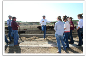 A person teaching in the field out at the ranch.