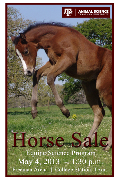 Horse Sale catalog front page