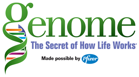 Genome graphic with a DNA strand as the letter G.
The Secret of How Life works is below Genome.
Made possible by Pfizer at the bottom with the Pfizer logo.