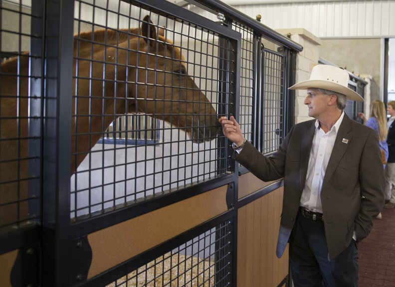 A man pets a horse