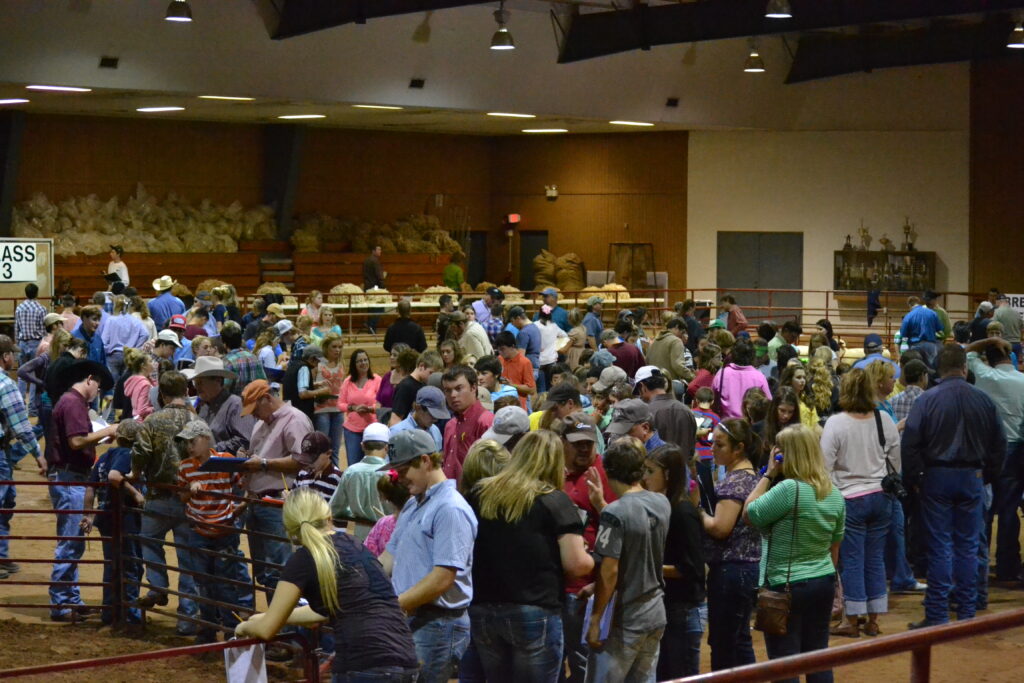 A crowd of youth and students at an Aggiefest event.