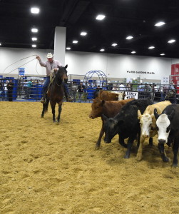 Dr. Ron Gill demonstrating roping skills to a group at a convention.