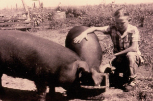 Gary with pigs