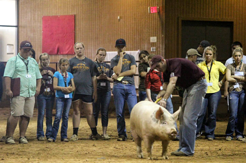 Kids watching a demonstration. Photos by Katie Eslick.