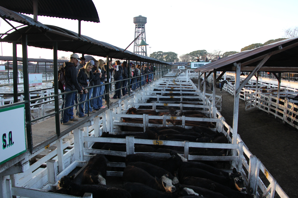 Students viewing an auction barn.