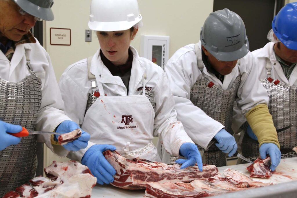 Clay Eastwood instructs participants of the Beef 706 workshop on proper cutting.