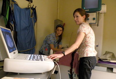 Mary Anne performing an ultrasound on a feline patient.