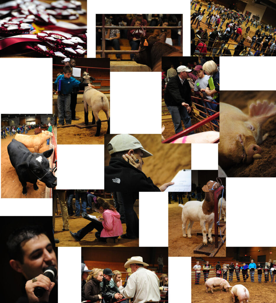 Aggiefest photo collage