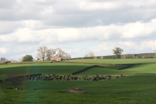 Pasture land with a house far in the background