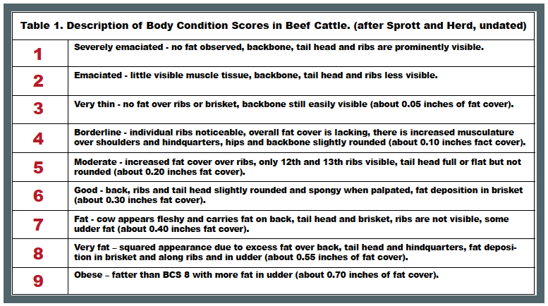 Body Condition Scores table