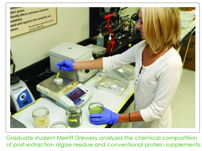 Graduate student Merritt Drewery analyzes the chemical composition of post-extraction algae residue and conventional protein supplements.