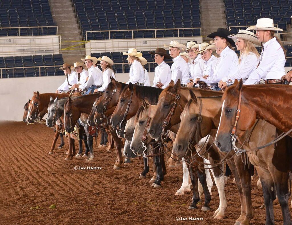 Horses ready to be shown during the show.