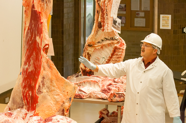 Dr. Davey Griffin demonstrating using beef carcasses during a class.