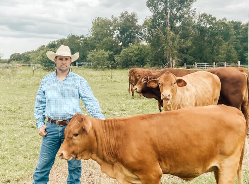 Jonathan Toups with cattle.