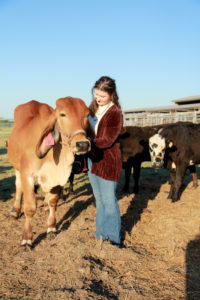 Alyson with cattle at a ranch.