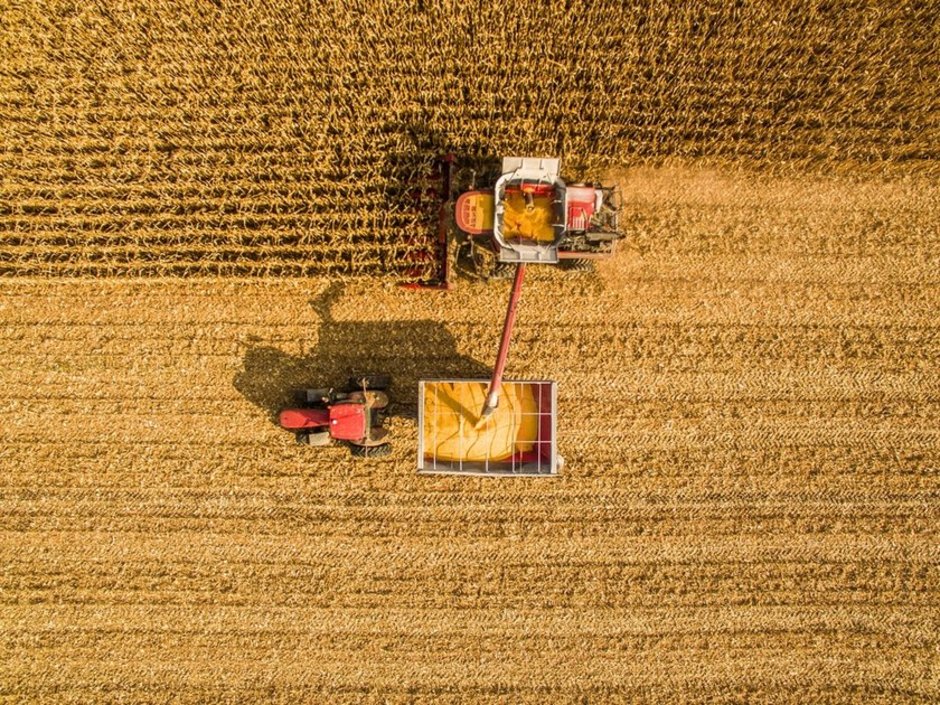 A harvester on the top of the photo moves grain to a hopper connected to a tractor in a field.