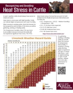 Recognizing and Avoiding Heat Stress in Cattle - Department of Animal ...