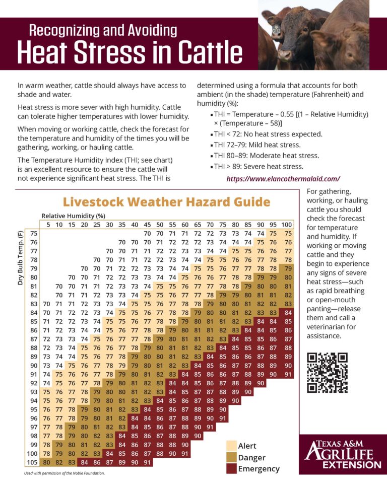 Heat Stress publication screenshot
