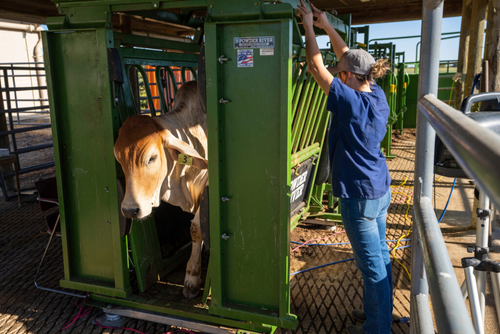 Animal Science Research - Department of Animal Science