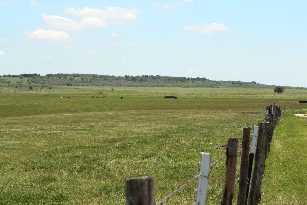 The McGregor Research Center pasture with a fence to the right.
