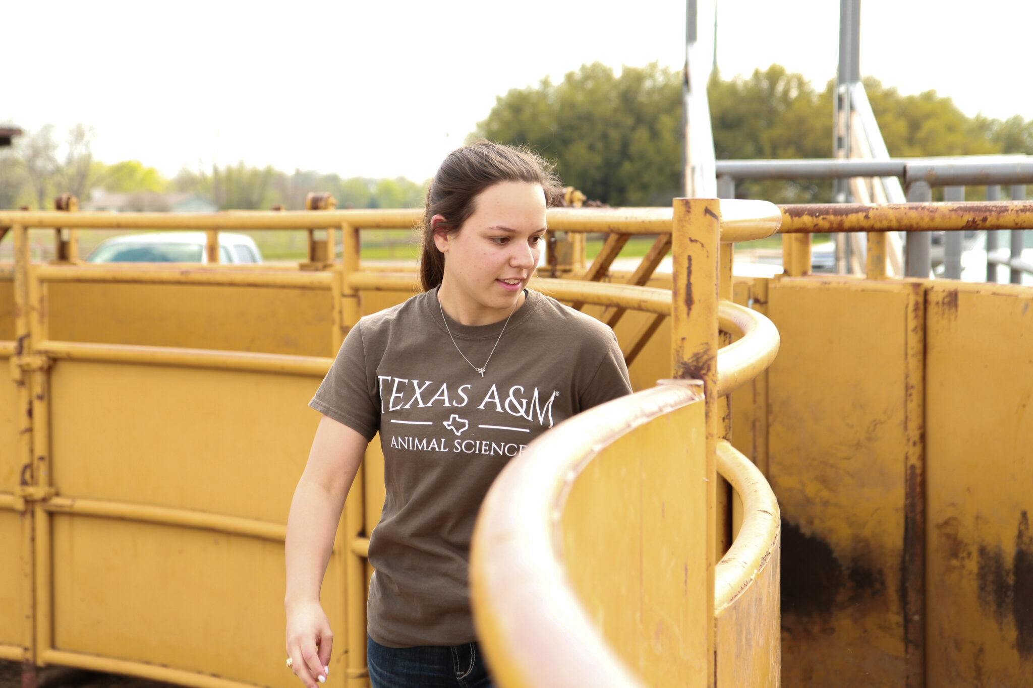 bachelor of science in agriculture animal science