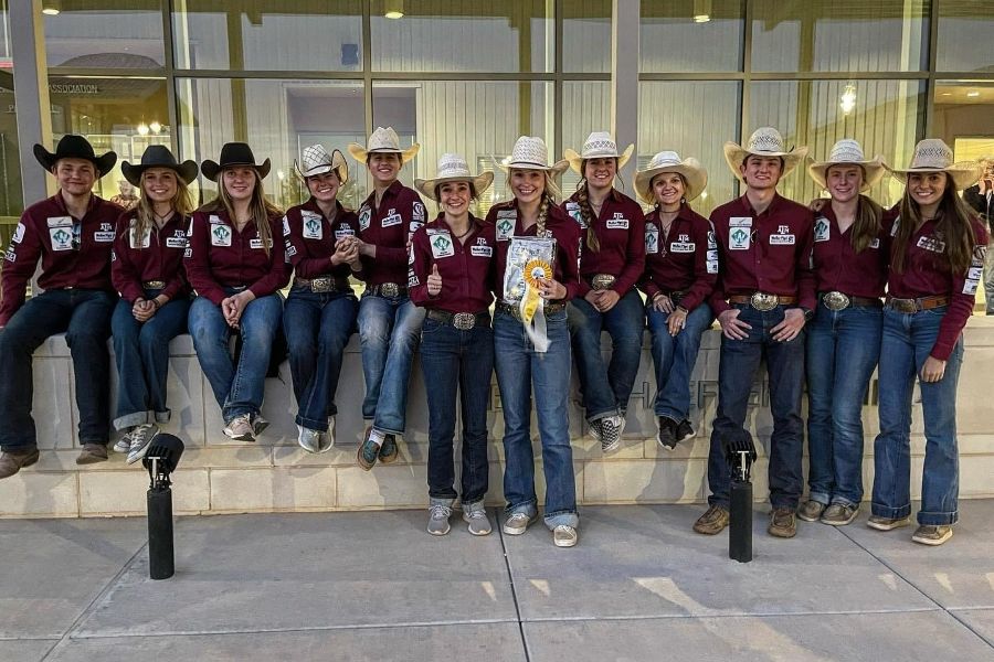 Ranch Horse Team