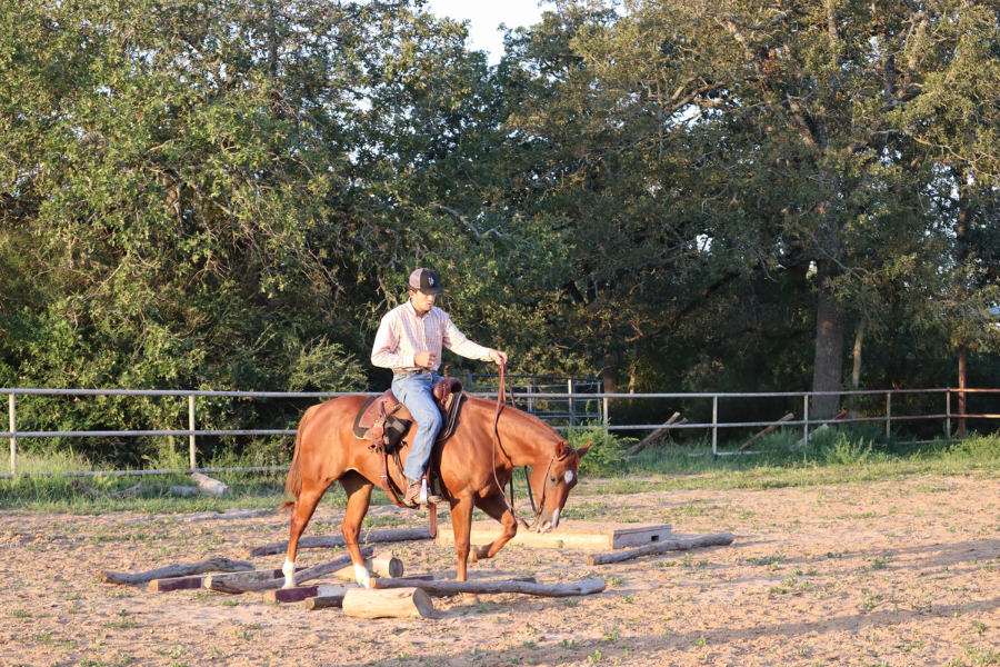 person riding on horse in pen