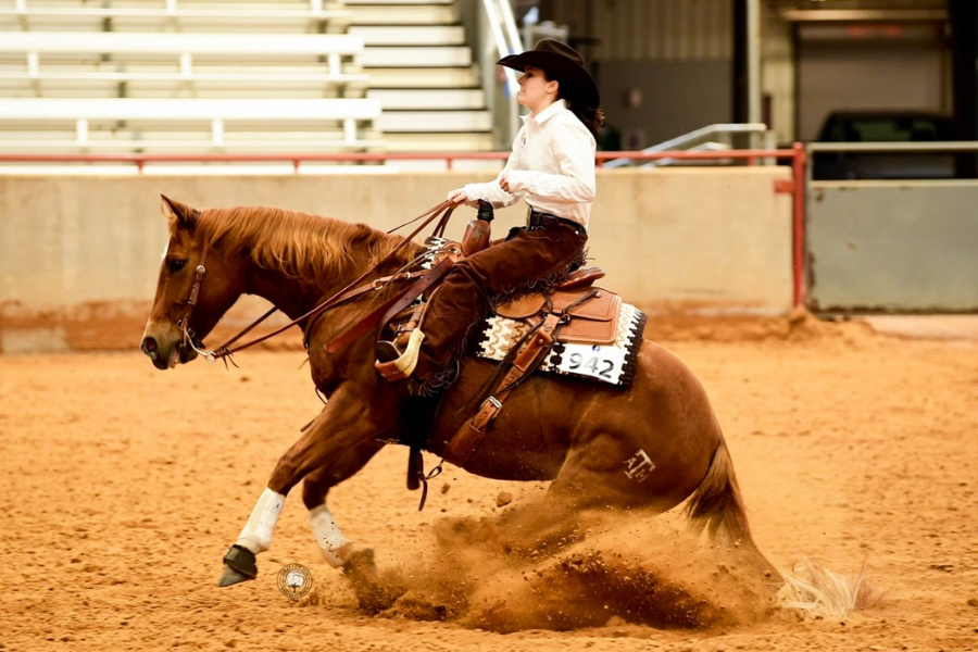 person riding on horse in arena