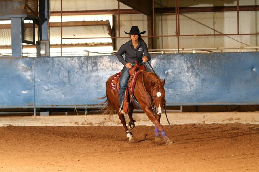 woman riding horse in arena