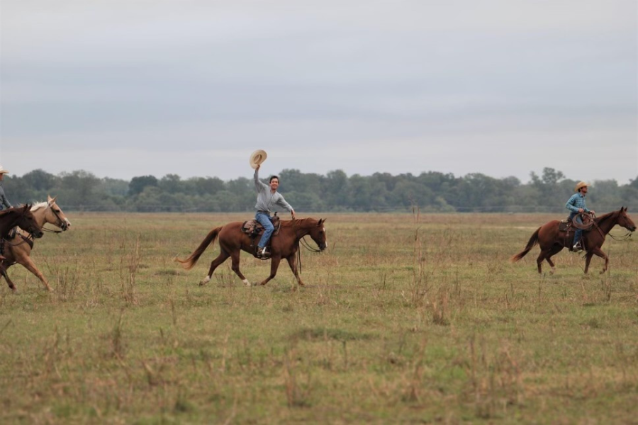 several people riding horses across field