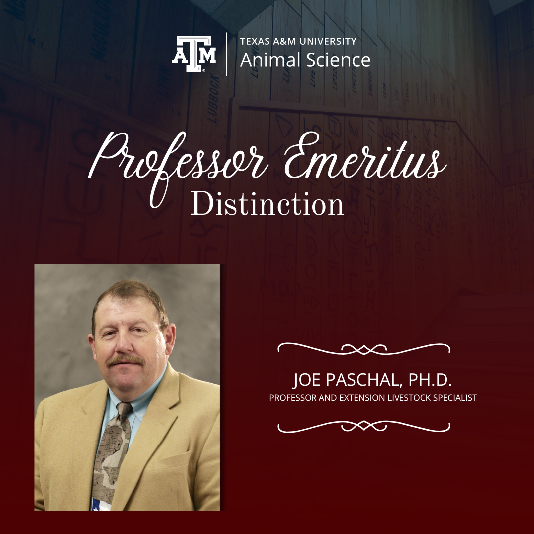 Faculty members granted Professor Emeritus distinction by Board of ...