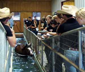 Participants tour the Petska Equine Rehabilitation and Therapy Facility and learn how to work horses on an underwater treadmill.
