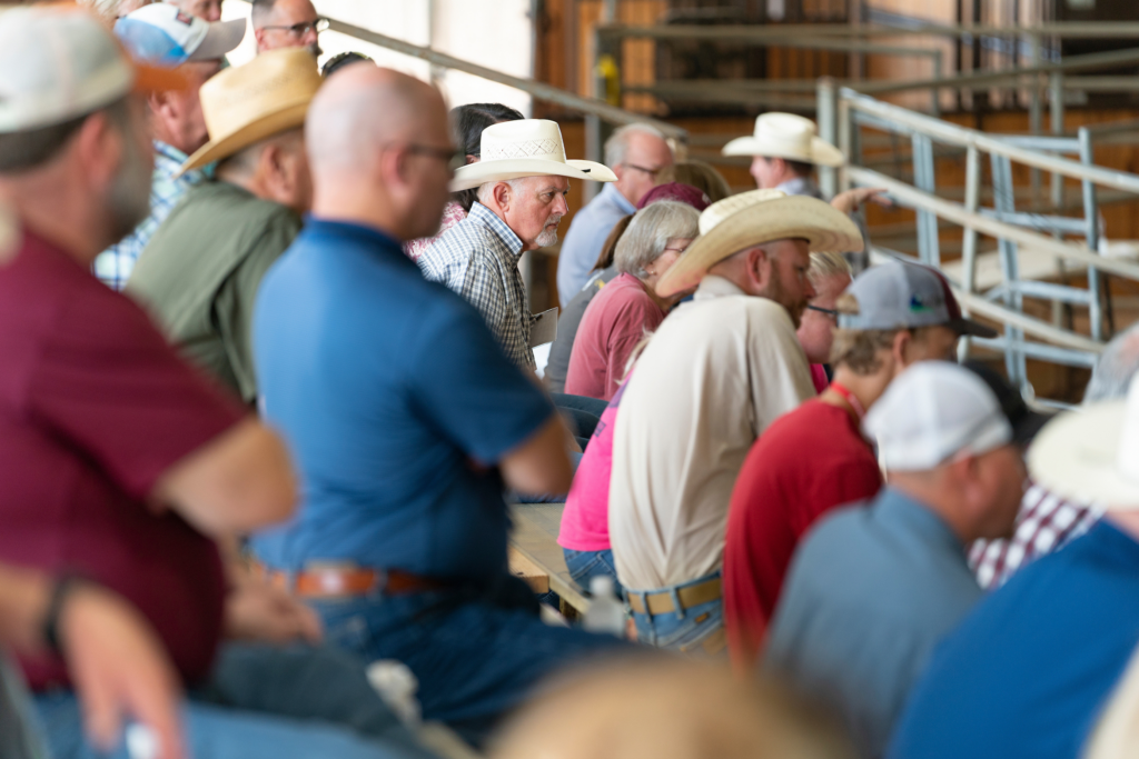 Multiple people sitting in Freeman Arena bleachers, one of the Animal Science facilities.