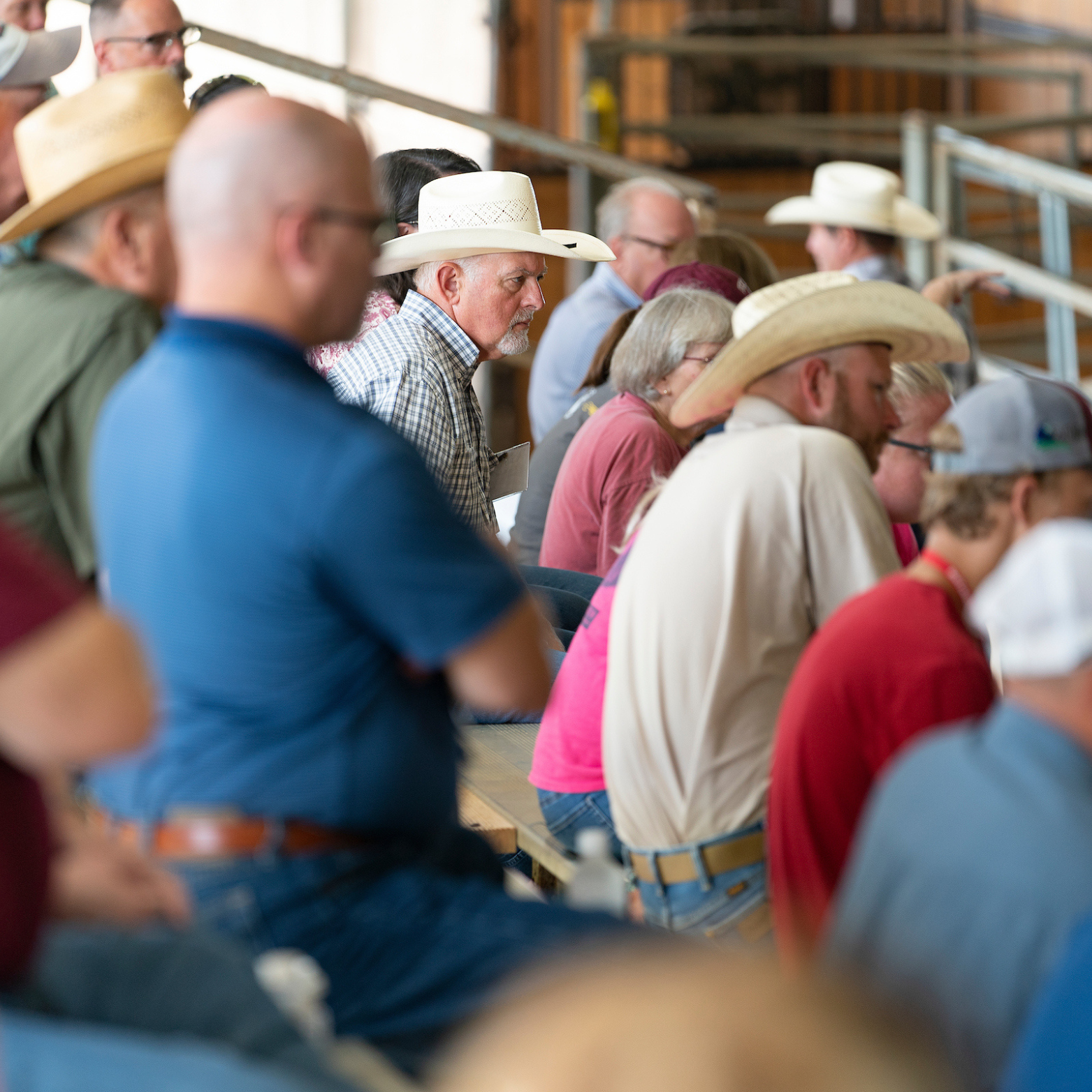 People sitting on the bleachers in an arena, to represent the animal science agency that's about education.