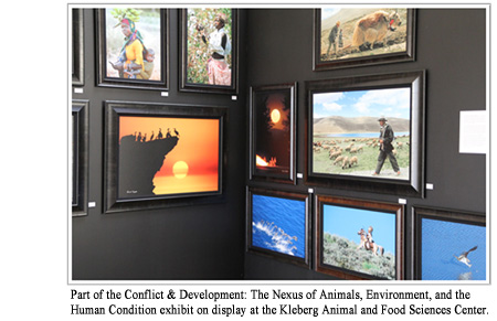 Photos as seen in part of the Conflict and Development: The Nexus of Animals, Environment, and the Human Condition exhibit at Kleberg Animal and Food Sciences Center.