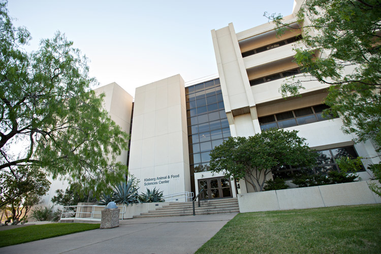 A picture of the outside of Kleberg Animal and Food Sciences Center.
