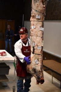 Dr. Davey Griffin demonstrating how to judge meat carcasses.