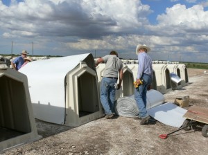 Workers covering a hutch.