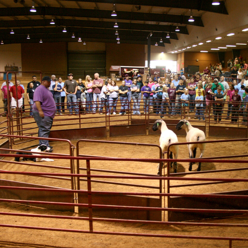 Students view a demonstration