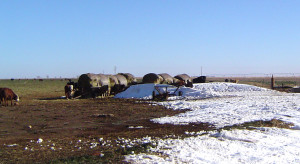 Snow in a pasture with hay.