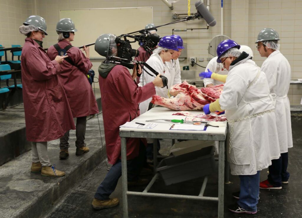 PBS camera crew films “BBQ with Franklin” segment on Beef 101.