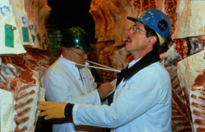 Gary looking at and recording carcass data assigned by a USDA grader.