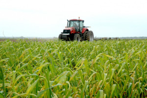 Tractor in a pasture.
