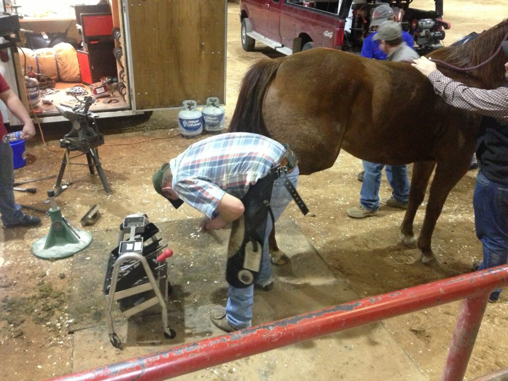 A farrier working on a horse.