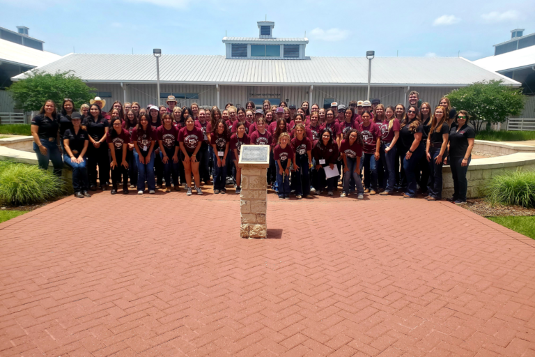 The Horse Judging Team
