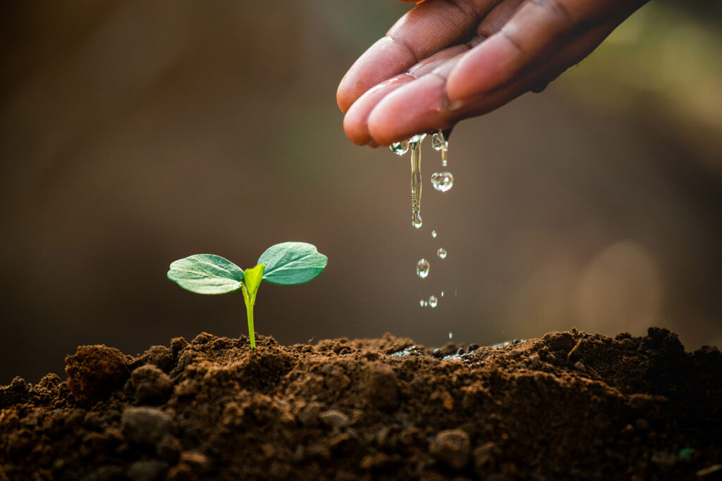 Agriculture plays a key role in producing healthy, high quality food for consumers while conserving our natural resources.