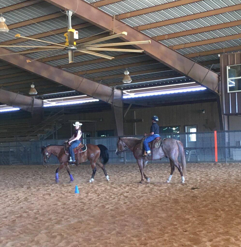 A woman teaches a child how to ride a horse around cones.