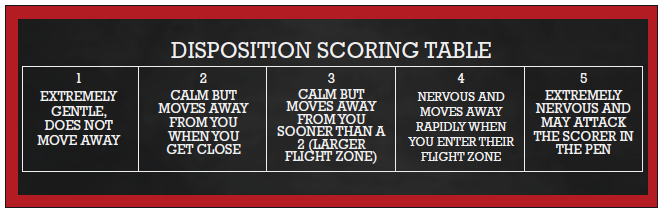Cattle Disposition Scoring Table