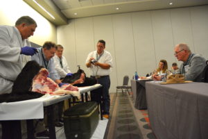 (left) Texas A&M AgriLife Extension Service specialists Dr. Dan Hale, Dr. Joe Paschal, Dr. Tom Hairgrove and Bryan Davis, AgriLife Extension agent for Wilson County, demonstrate injection site blemishes on a beef carcass at the 2017 Texas and Southwestern Cattle Raisers Association Convention in San Antonio. (Texas A&M AgriLife Extension Service photo by Blair Fannin)